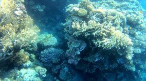 Шарм-эль-Шейх, Египет ? Отель «Coral Beach Resort Montazah 4⭐»