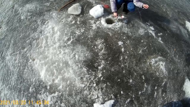 Троянский конь смотреть онлайн