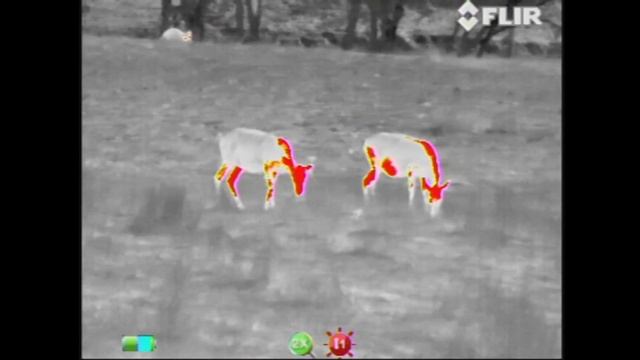 FLIR Scout III: Palettes смотреть онлайн