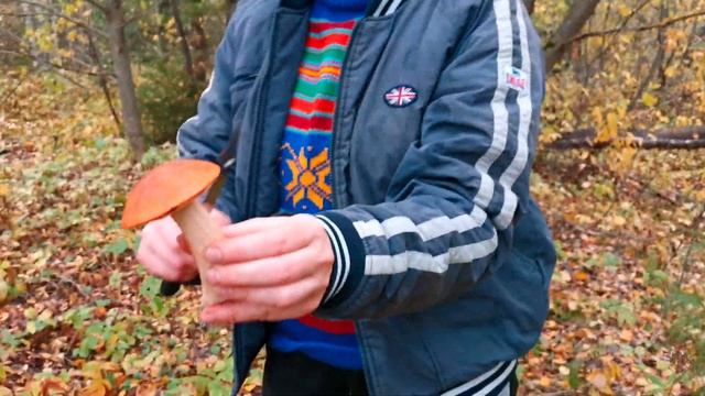 Осенний поход в лес с сестрой, Киров, Оричевский район, 24 сентября 2022 смотреть онлайн