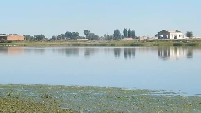 Река Бушма смотреть онлайн