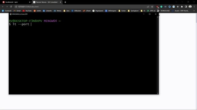 Expose your Localhost to the World - LocalTunnel Tutorial смотреть онлайн