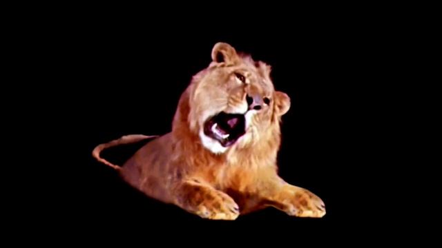 Leo The Lion Footage (1995) смотреть онлайн