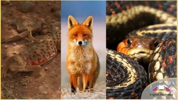 Excel 6. Module 3. An Unforgettable Destination