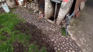 Как подсеивать газон!!!!