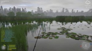 РР4 МЕДВЕЖЬЕ КАРП АМУР ФАРМ / РУССКАЯ РЫБАЛКА 4 МЕДВЕЖКА КАРП / RUSSIAN FISHING 4 CARP GRASS CARP