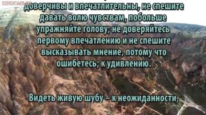 К чему снится Шуба сонник, толкование сна