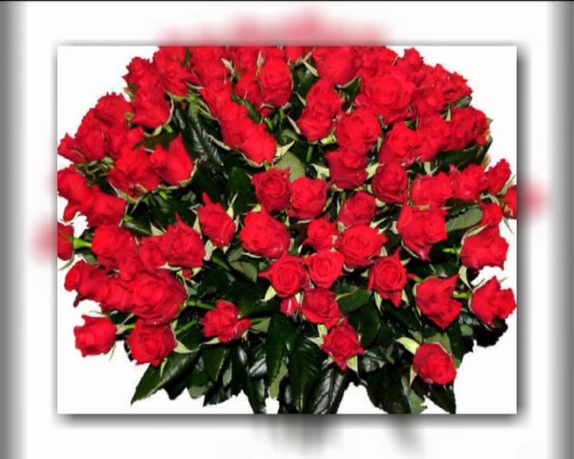 Поздравляем с победой! смотреть онлайн