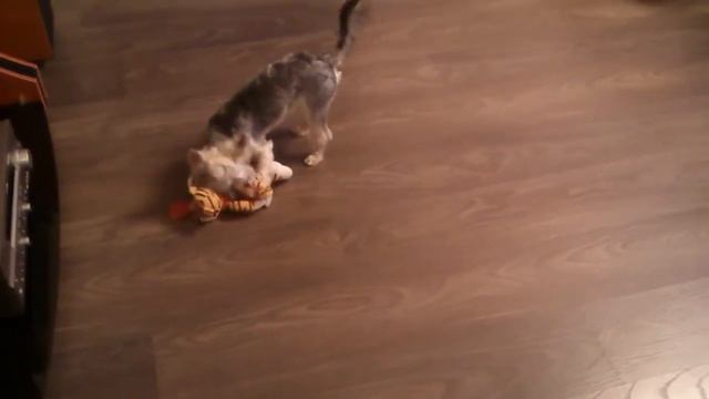 Теория охоты на крота смотреть онлайн