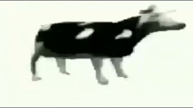 Нахера а главное зачем? смотреть онлайн