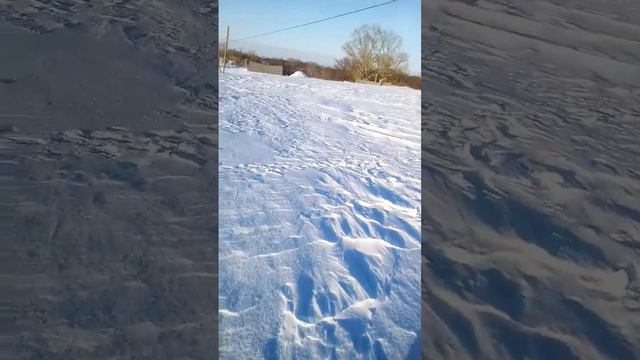 Акмолинская обл.гЕрейментау ул Зеленый-хутор 19.03.2017 смотреть онлайн