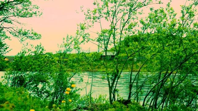 Любовь к рыбалке Сезон Семги п.Шонгуй р.Кола Baraban video 2014 смотреть онлайн