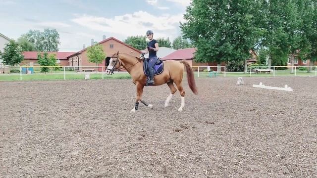 ОШИБКИ ВСАДНИКА ПРИ ДВИЖЕНИИ ГАЛОПОМ смотреть онлайн