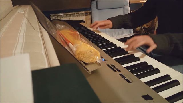 Undertale OST - Bonetrousle (PIANO COVER) смотреть онлайн