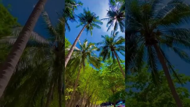 Медитация активации денежного потока смотреть онлайн