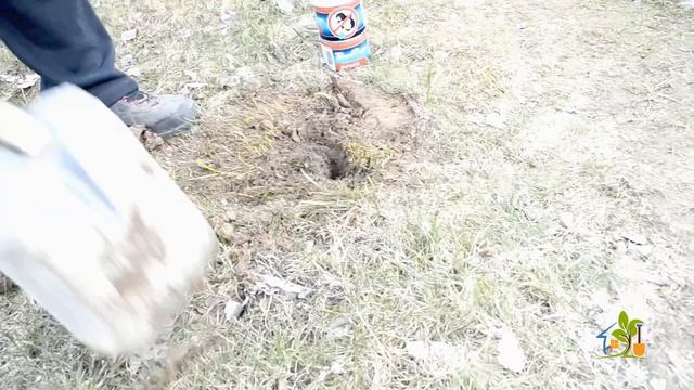 Карбид: Эффективное средство против кротов