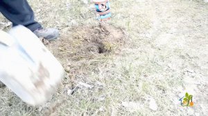 Карбид: Эффективное средство против кротов