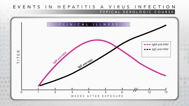 Hepatitis A: CDC Viral Hepatitis Serology Training смотреть онлайн