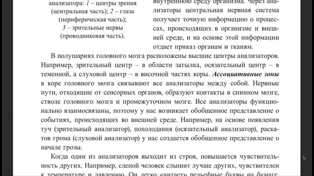 Анатомия 49 56 смотреть онлайн