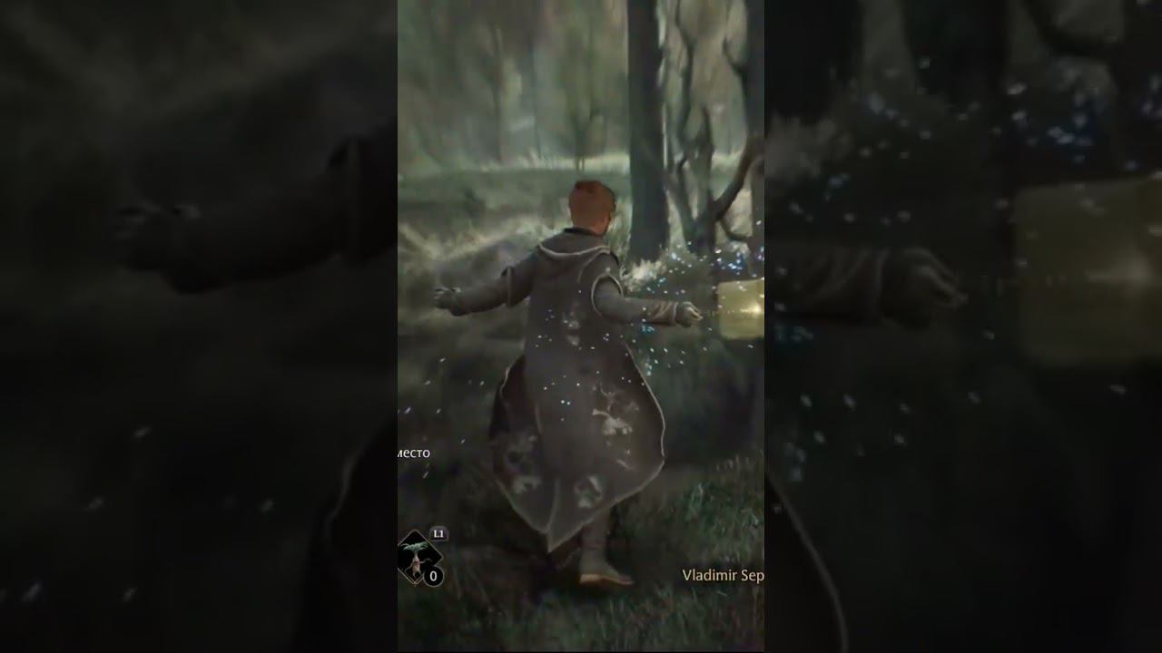 ОБЗОР Hogwarts legacy №4 #harrypotter #hogwartslegacy #ps5 смотреть онлайн