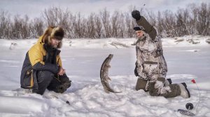 НИ ФИ-ГА, ПУ-ЗА-ТА-Я! | С полем!