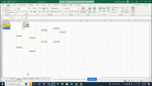 How To Use Format Painter In Excel | Various Options | MS Excel