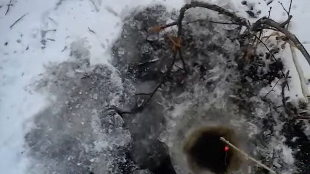 Крупный ротан в начале ноября.Много ротана. смотреть онлайн
