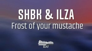 ШБК и Ильзе Бическу - Иней твоих усов (правильная версия)