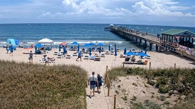 Мертвая птица: толкование приметы смотреть онлайн