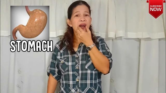 Internal Parts of our Body : The Stomach | Science for Kinder | Learning with Teacher Ira смотреть онлайн