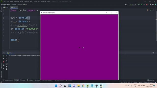 Python Turtle Basic Part 5 | Input Method or Screen Method | Rudra Sharan смотреть онлайн