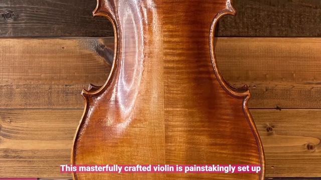 The Amati 425 Violin
