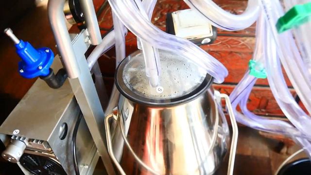 Электрический доильный апарат VEVOR на 25 литров.