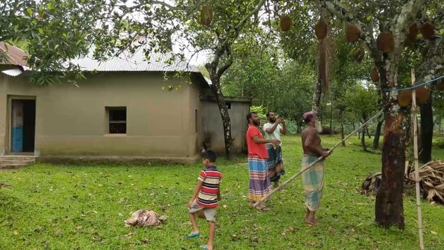 Путешествуем по миру вместе    БАНГЛАДЕШ