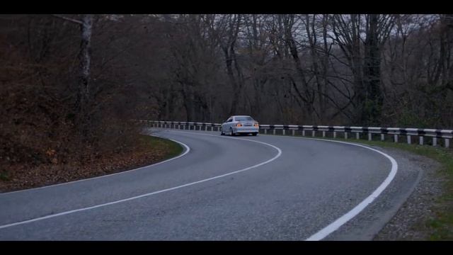 Маркообразные смотреть онлайн