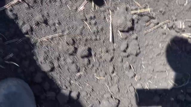 Поиск монет с Garrett AT MAX выбитые поля смотреть онлайн