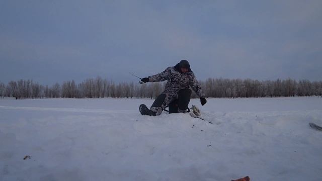 Зимняя рыбалка в Нижневартовске 03.01.2020 смотреть онлайн