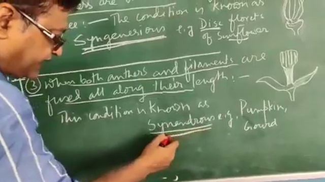 Std 9 biology by Mr. Kunal 17/6/2020 смотреть онлайн