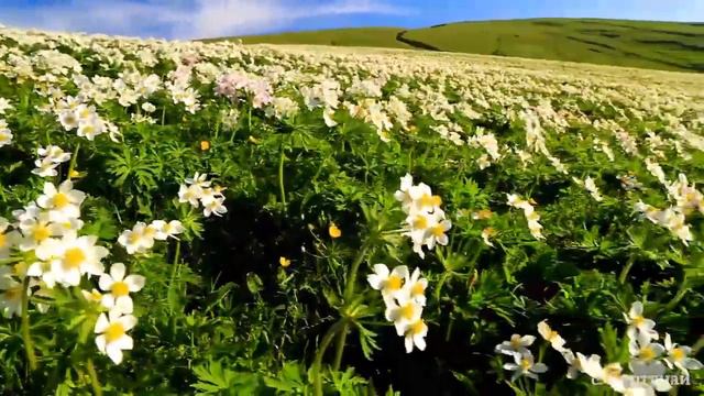 БУРТУНАЙ КРАСИВЫЕ МЕСТА... #рыбак #рыбаку #щука #отдых #друзья #олень #зима #fishing #fishingvideo