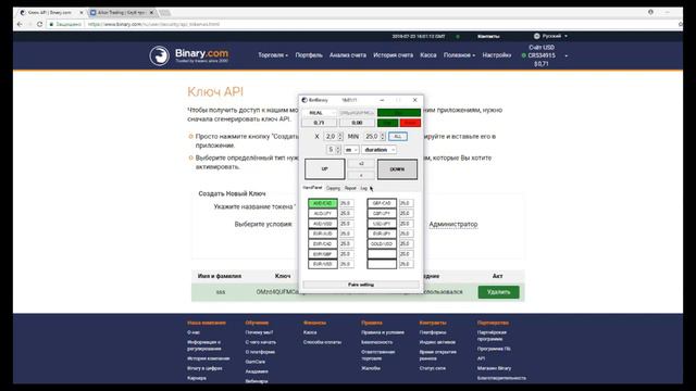 Как работать с панелью от Binary.com смотреть онлайн