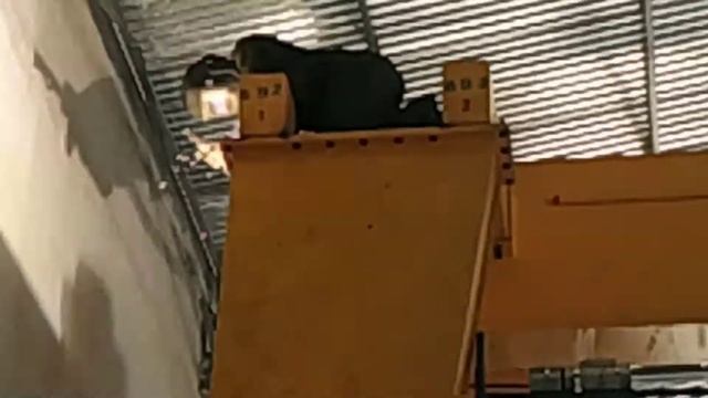 Монтаж козлового крана смотреть онлайн