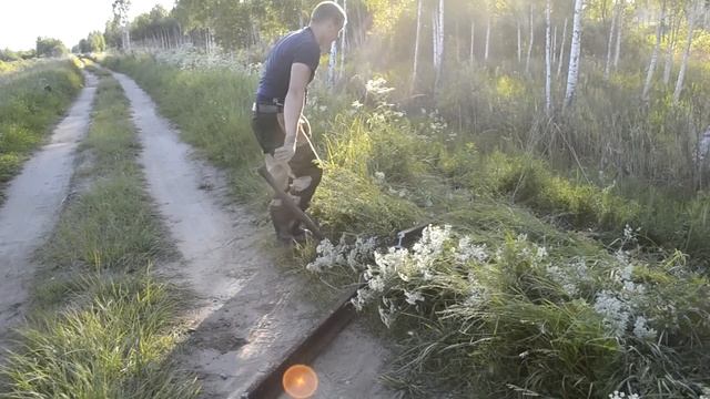 Ого!!!Напали на УЖД РЕЛЬСЫ!!!! 650 Кг!!! И это только начало!!!! смотреть онлайн