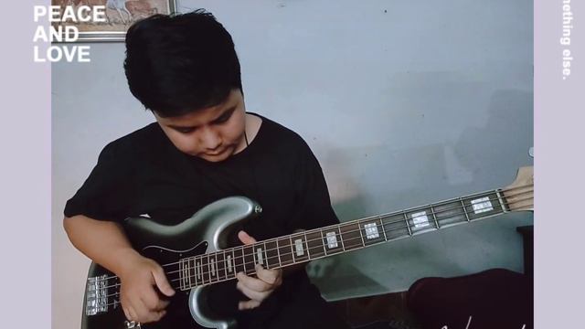 Barracuda Jazz bass with Wilkinson pickup. смотреть онлайн