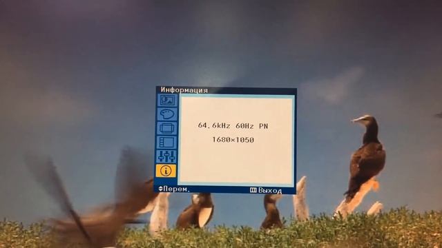 Монитор Samsung SyncMaster 2243NW смотреть онлайн