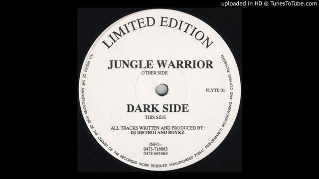 AA - DJ Distroi & Boykz - Dark Side смотреть онлайн