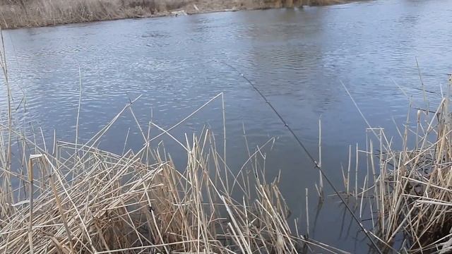 Рыбалка река Миус, Неклиновский район 11.03.22 смотреть онлайн