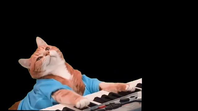 кот играет меголованию на пианино смотреть онлайн
