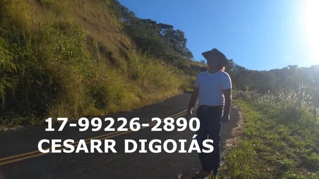 BOATE AZUL  RUBENS AVELINO E JOSE HOMERO