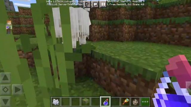 Minecraft Beta 1.17.0.54 смотреть онлайн