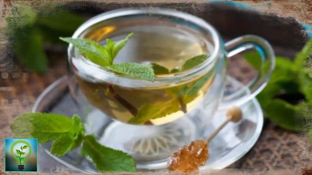 Как улучшить ПАМЯТЬ Самые ПРОСТЫЕ НАПИТКИ для улучшения памяти и РАБОТЫ МОЗГА Советы для здоровья смотреть онлайн